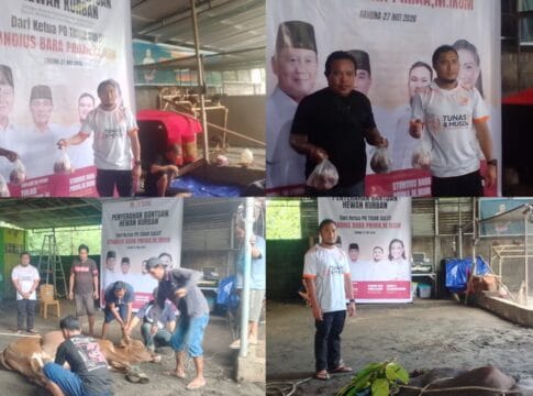 pd tidar sulut