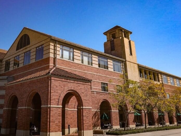 beasiswa tamba samba usc mba